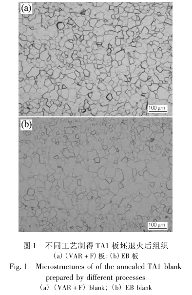 1649950041254512.jpg t1.jpg