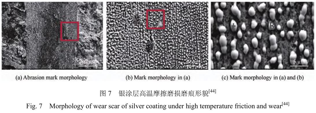 1706095440406723.jpg t7.jpg