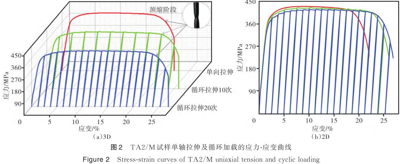 1706106730703296.jpg t2.jpg