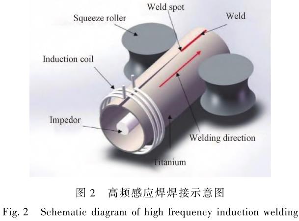 1706182165728128.jpg t2.jpg