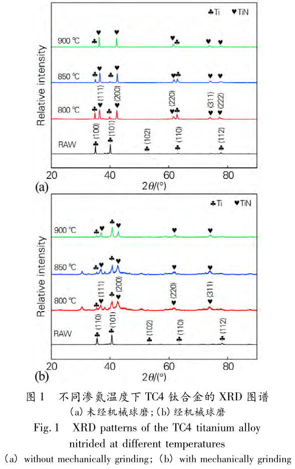 1706185513232166.jpg t1.jpg