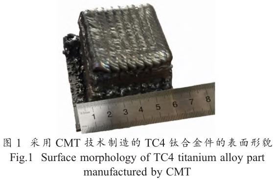 1706191482130271.jpg t1.jpg