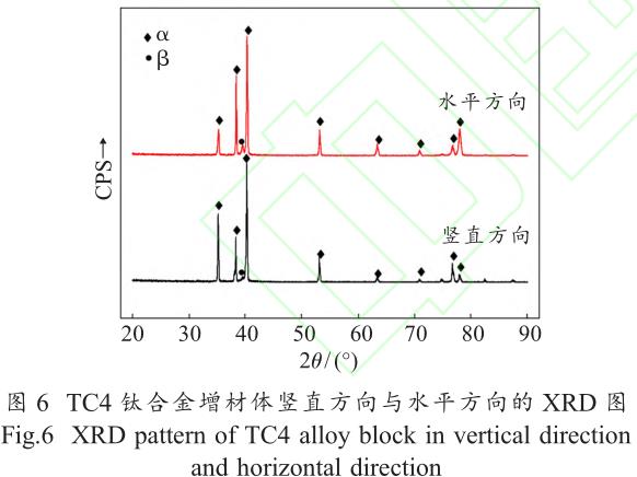 1706191529269802.jpg t6.jpg