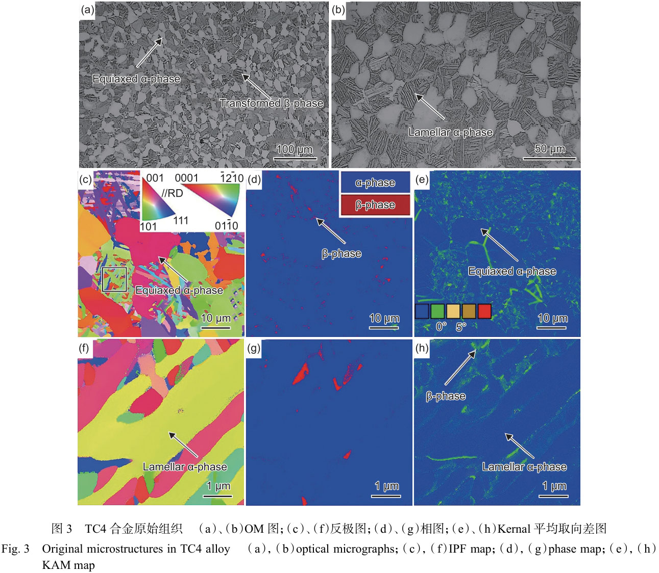 1699878485440447.jpg t3.jpg