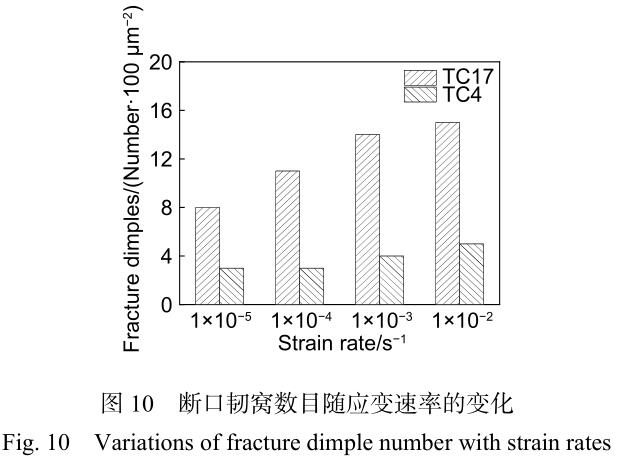 1699878662850278.jpg t10.jpg