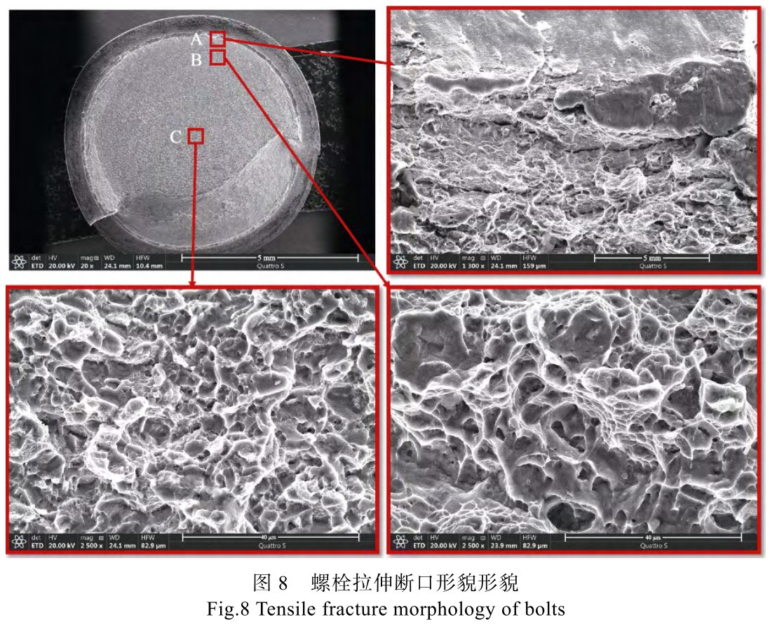 1728034771600732.jpg t8.jpg