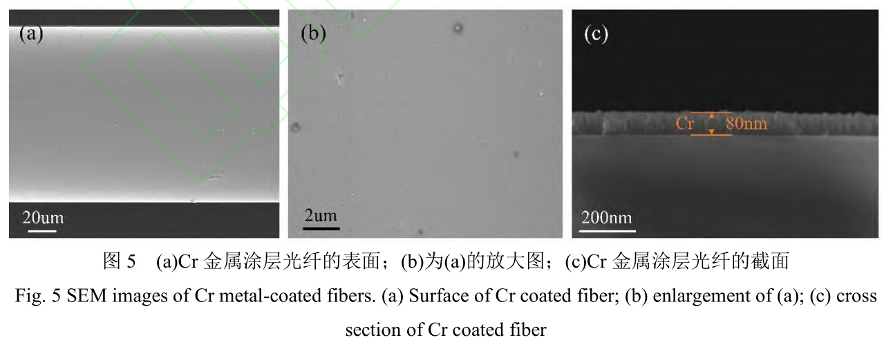 1728138560430681.jpg 5.jpg