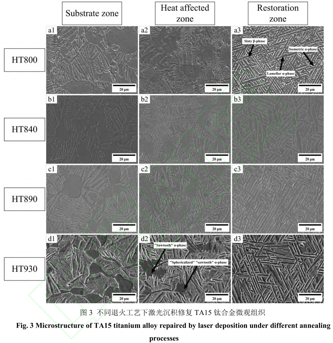 1729343139803700.jpg 3.jpg