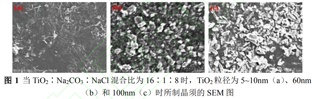 1736090362491779.png 截圖20250105231648.png