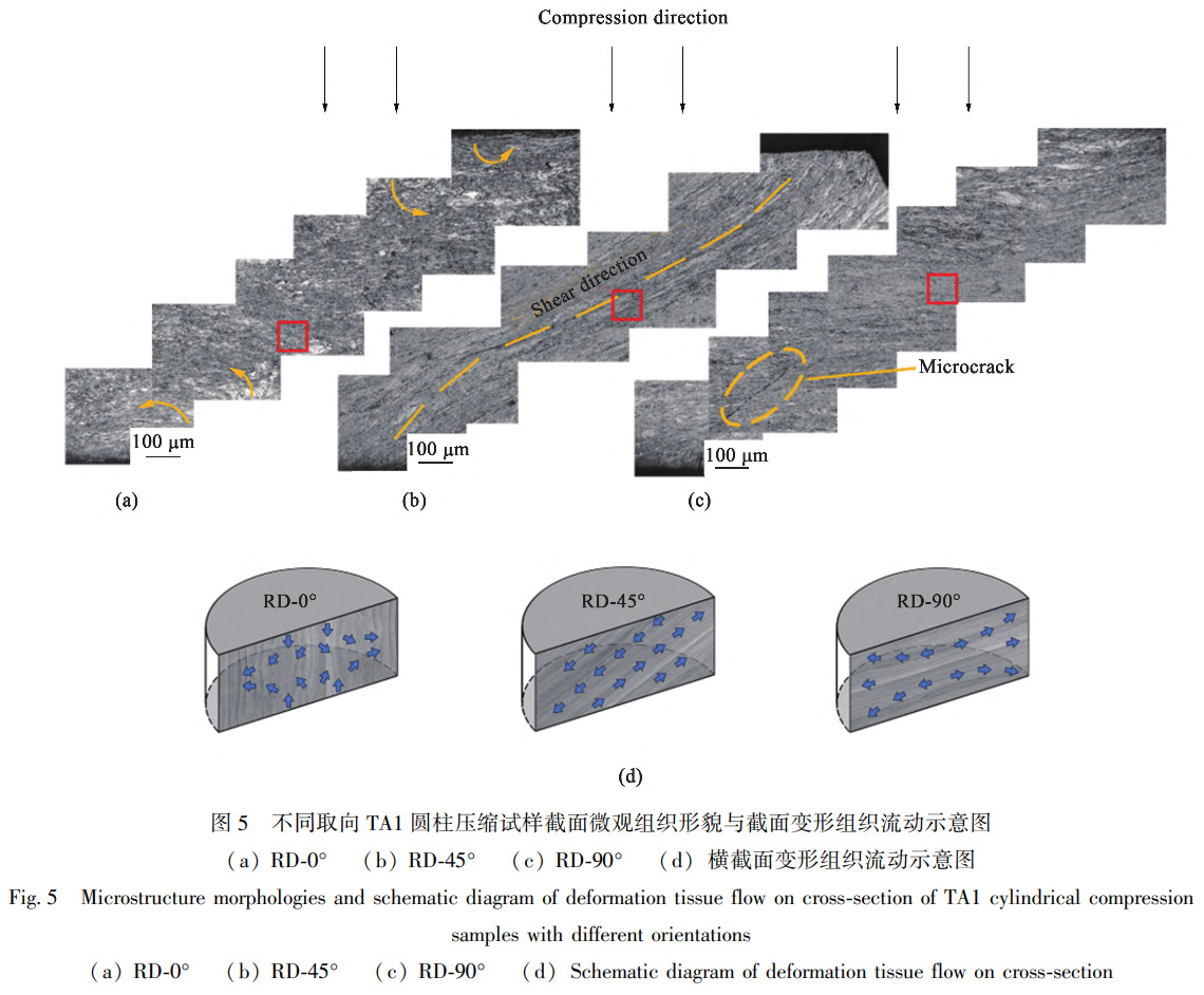 1739264136977198.jpg 5.jpg