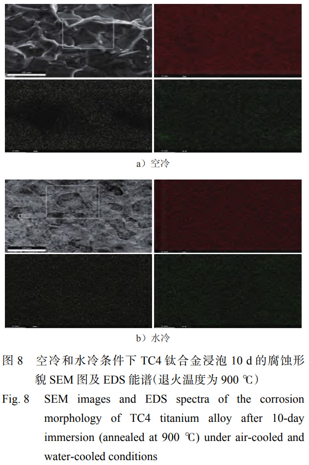 1763905539159085.jpg 未標題-3.jpg