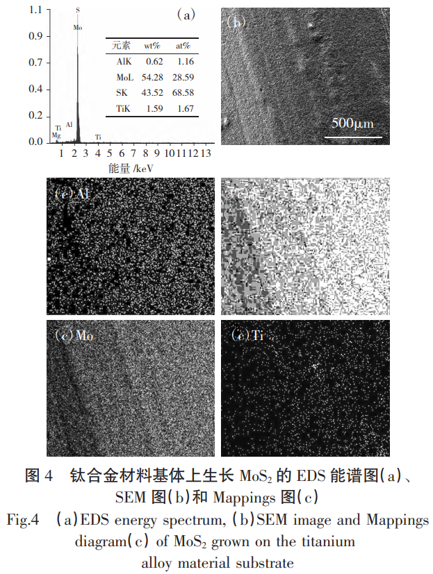 1763948693209676.png 截圖20251124094045.png