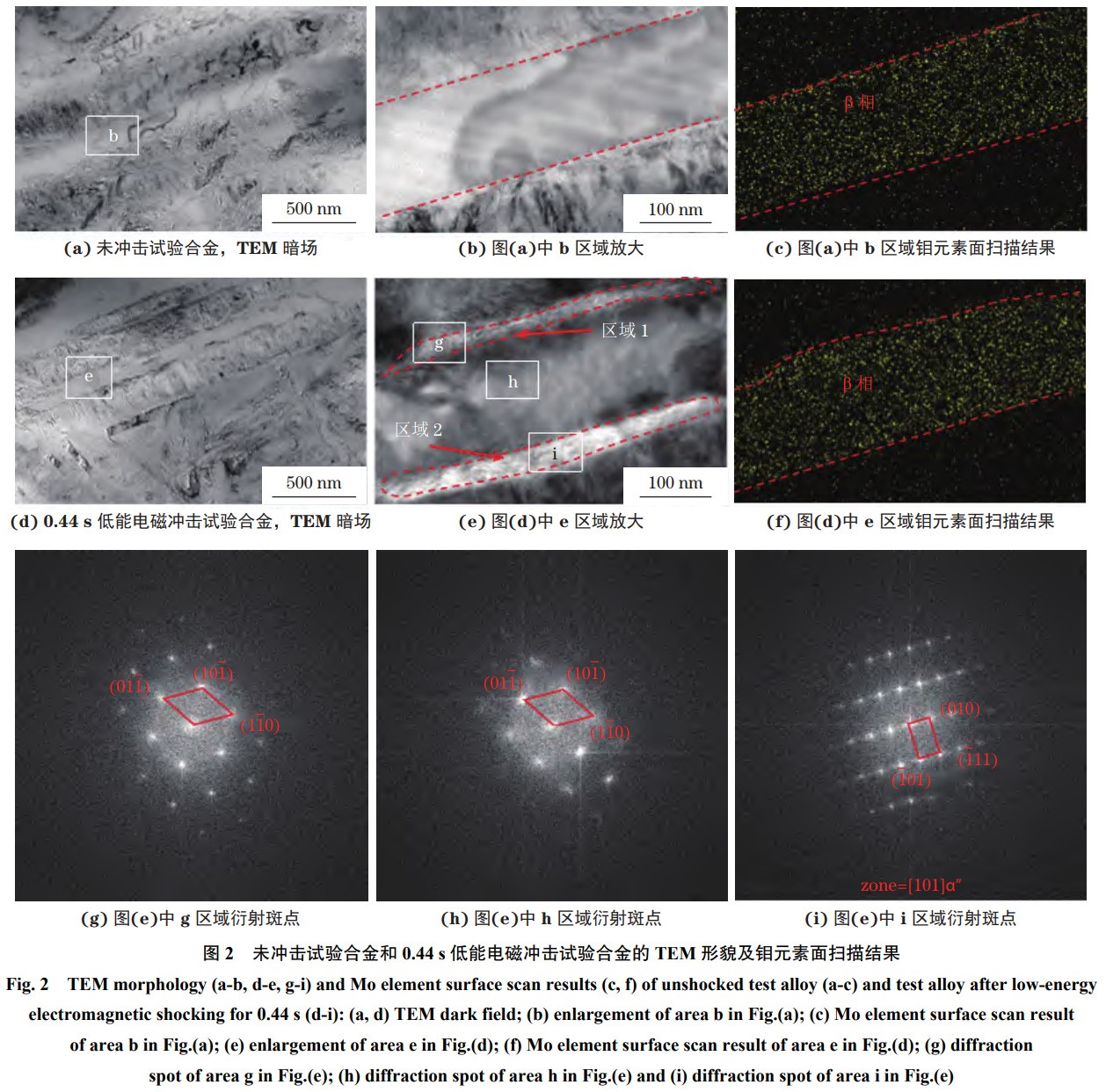 1765507064920061.jpg 未標題-1.jpg