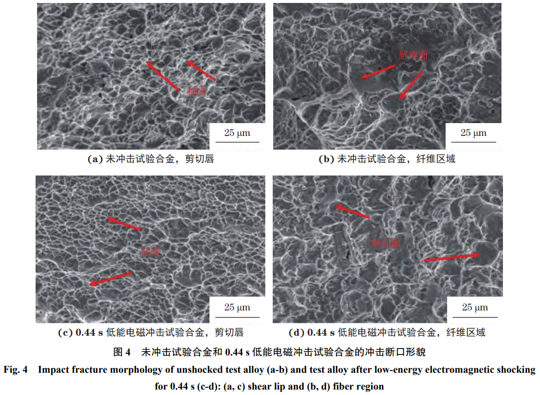 1765507085396705.png 截圖20251212103708.png