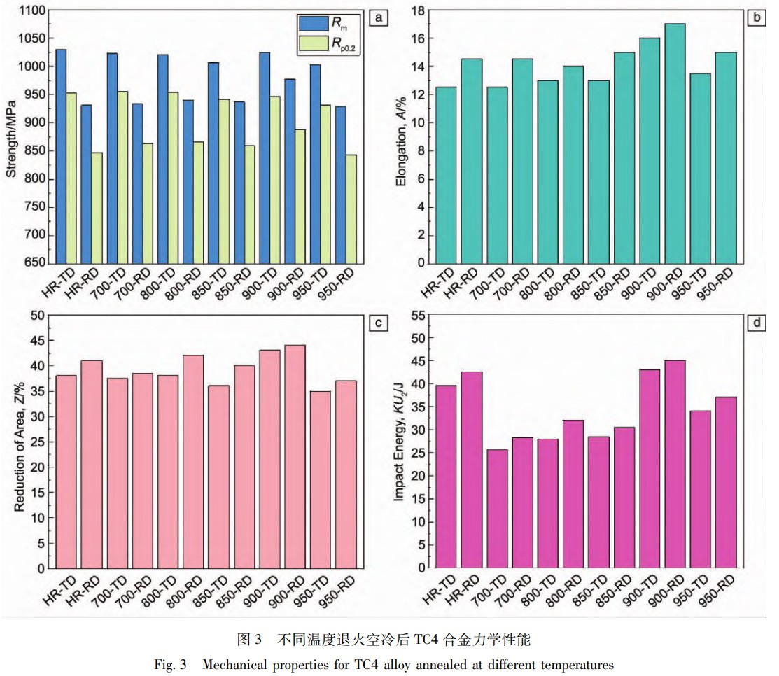 1768188327684167.jpg 3.jpg