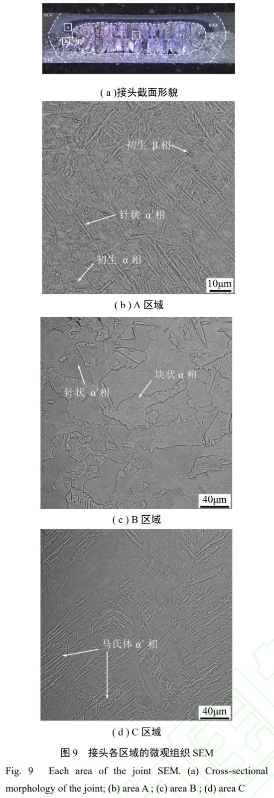 1768219536239680.jpg 9.jpg