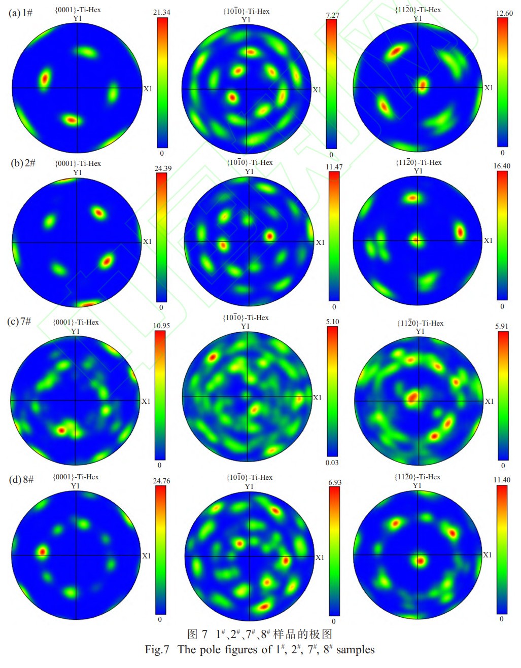 1768223130807277.jpg 7.jpg